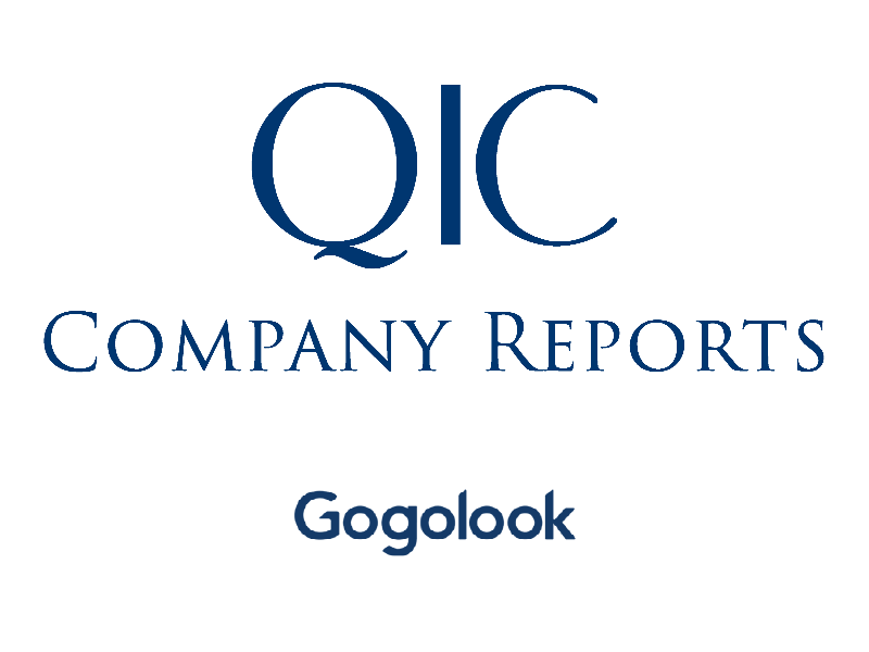 Company Report- Gogolook (6902 TT)